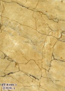 zt-8165-1黃蜘蛛-1_副本