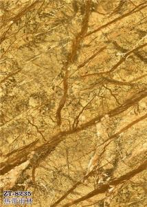 zt-8235熱帶雨林_副本